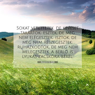 Aggeus 1:6 Bibliai vers magyarázata
