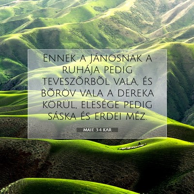 Máté 3:4 Bibliai vers magyarázata