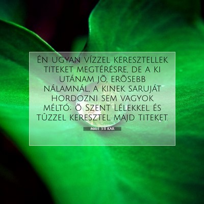 Máté 3:11 Bibliai vers magyarázata