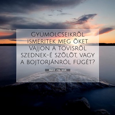 Máté 7:16 Bibliai vers magyarázata