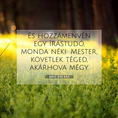 Máté 8:19 Bibliai vers magyarázata