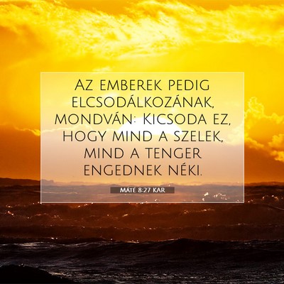 Máté 8:27 Bibliai vers magyarázata