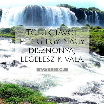 Máté 8:30 Bibliai vers magyarázata