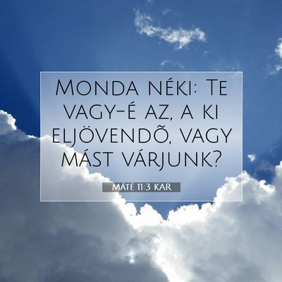 Máté 11:3 Bibliai vers magyarázata