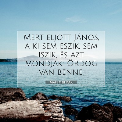Máté 11:18 Bibliai vers magyarázata