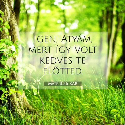 Máté 11:26 Bibliai vers magyarázata