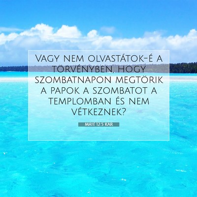 Máté 12:5 Bibliai vers magyarázata