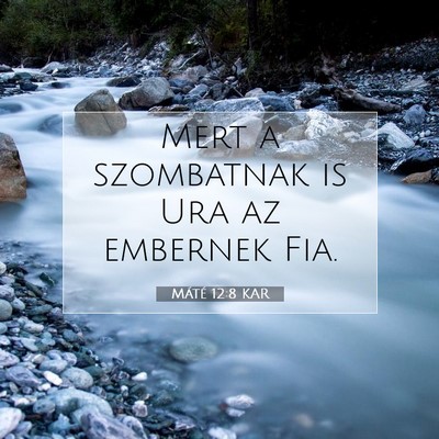 Máté 12:8 Bibliai vers magyarázata