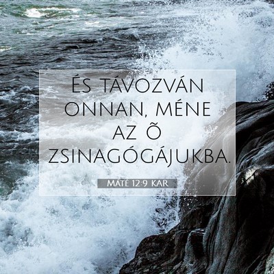 Máté 12:9 Bibliai vers magyarázata