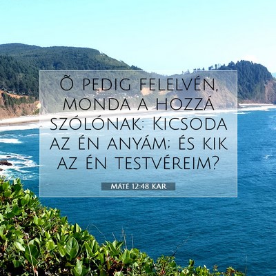 Máté 12:48 Bibliai vers magyarázata