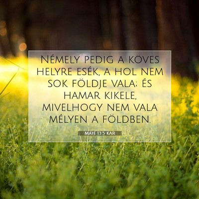 Máté 13:5 Bibliai vers magyarázata