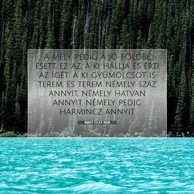 Máté 13:23 Bibliai vers magyarázata