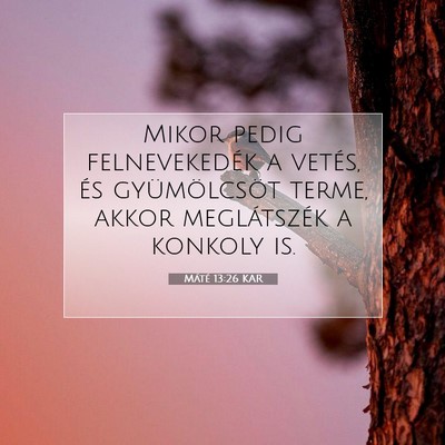 Máté 13:26 Bibliai vers magyarázata