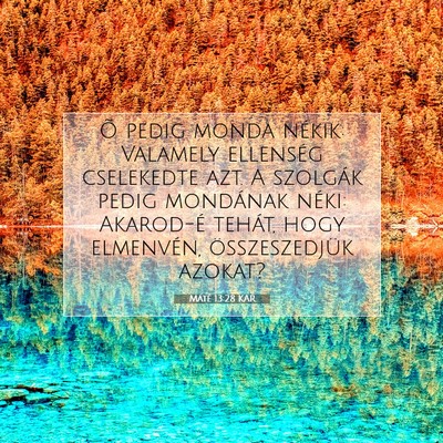 Máté 13:28 Bibliai vers magyarázata