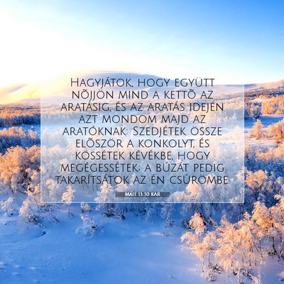 Máté 13:30 Bibliai vers magyarázata