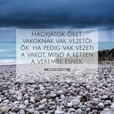 Máté 15:14 Bibliai vers magyarázata
