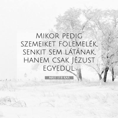 Máté 17:8 Bibliai vers magyarázata