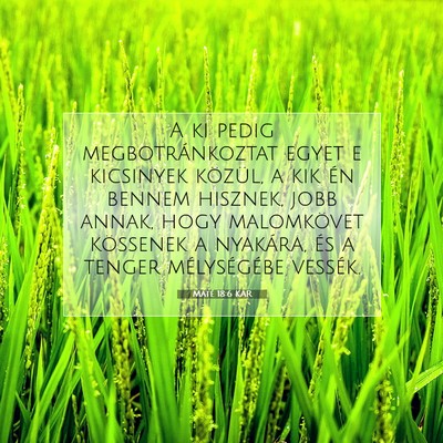 Máté 18:6 Bibliai vers magyarázata