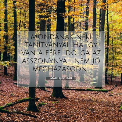 Máté 19:10 Bibliai vers magyarázata