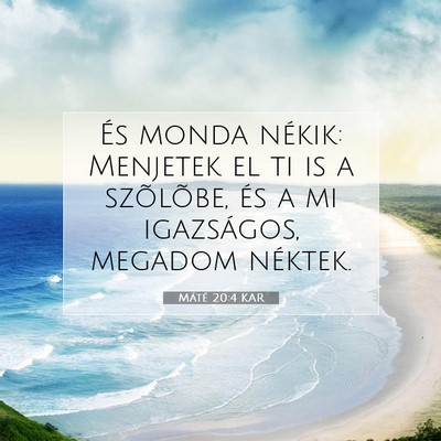 Máté 20:4 Bibliai vers magyarázata
