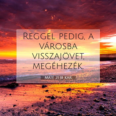 Máté 21:18 Bibliai vers magyarázata
