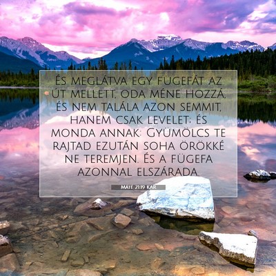 Máté 21:19 Bibliai vers magyarázata