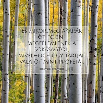 Máté 21:46 Bibliai vers magyarázata