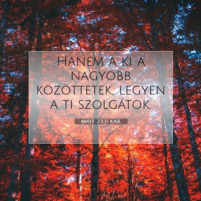 Máté 23:11 Bibliai vers magyarázata