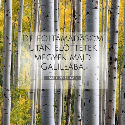 Máté 26:32 Bibliai vers magyarázata
