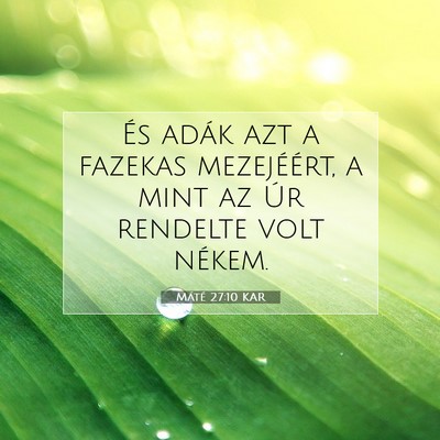 Máté 27:10 Bibliai vers magyarázata