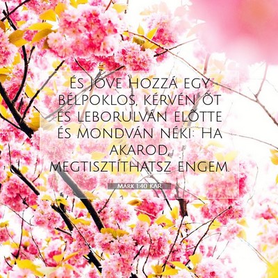 Márk 1:40 Bibliai vers magyarázata