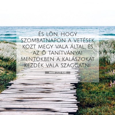 Márk 2:23 Bibliai vers magyarázata