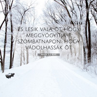 Márk 3:2 Bibliai vers magyarázata