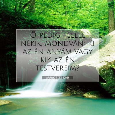 Márk 3:33 Bibliai vers magyarázata