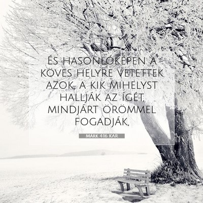 Márk 4:16 Bibliai vers magyarázata