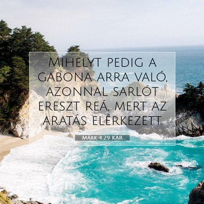 Márk 4:29 Bibliai vers magyarázata