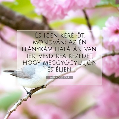 Márk 5:23 Bibliai vers magyarázata