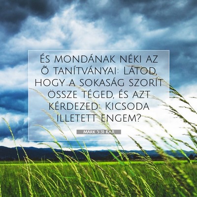 Márk 5:31 Bibliai vers magyarázata