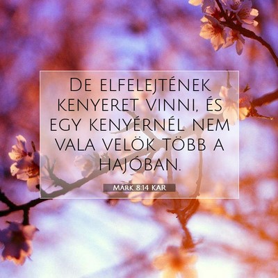 Márk 8:14 Bibliai vers magyarázata
