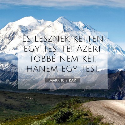 Márk 10:8 Bibliai vers magyarázata
