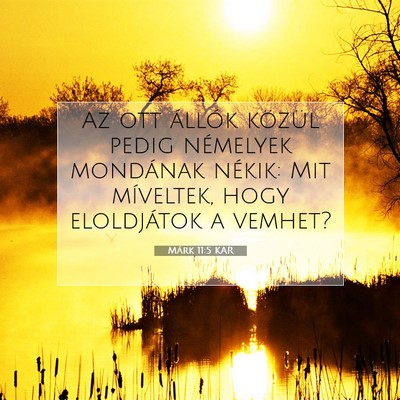 Márk 11:5 Bibliai vers magyarázata