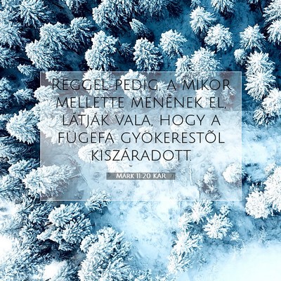 Márk 11:20 Bibliai vers magyarázata
