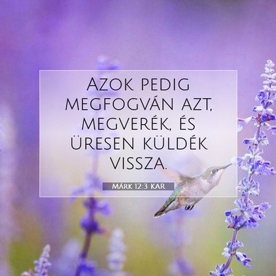 Márk 12:3 Bibliai vers magyarázata