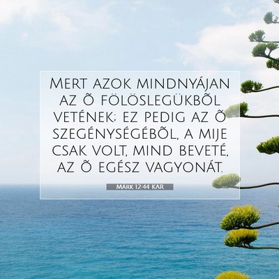 Márk 12:44 Bibliai vers magyarázata