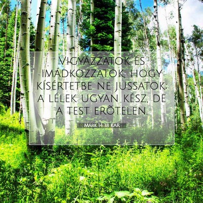 Márk 14:38 Bibliai vers magyarázata
