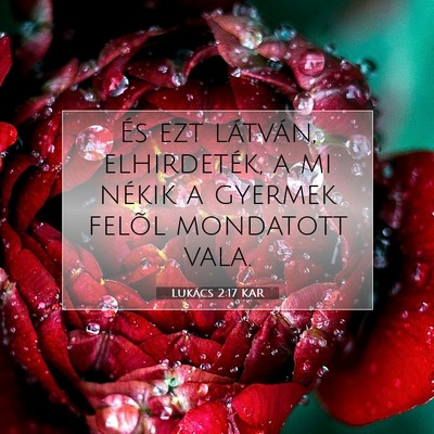 Lukács 2:17 Bibliai vers magyarázata