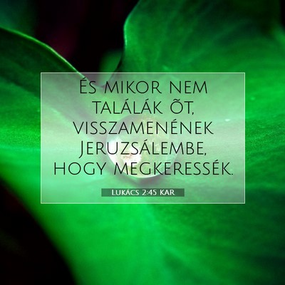 Lukács 2:45 Bibliai vers magyarázata