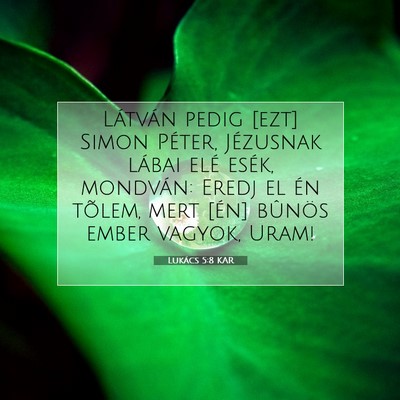 Lukács 5:8 Bibliai vers magyarázata