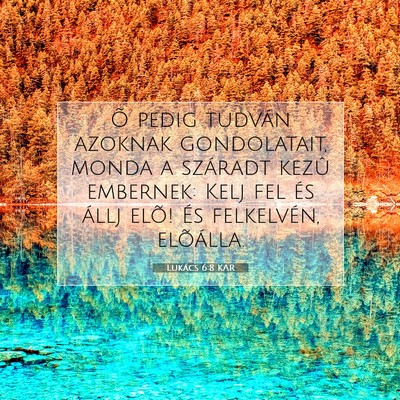 Lukács 6:8 Bibliai vers magyarázata