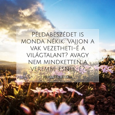 Lukács 6:39 Bibliai vers magyarázata